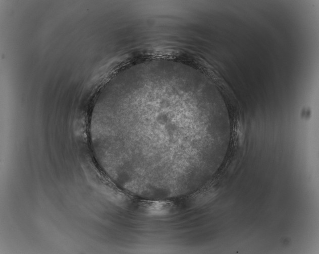 X0000114390663200911131344