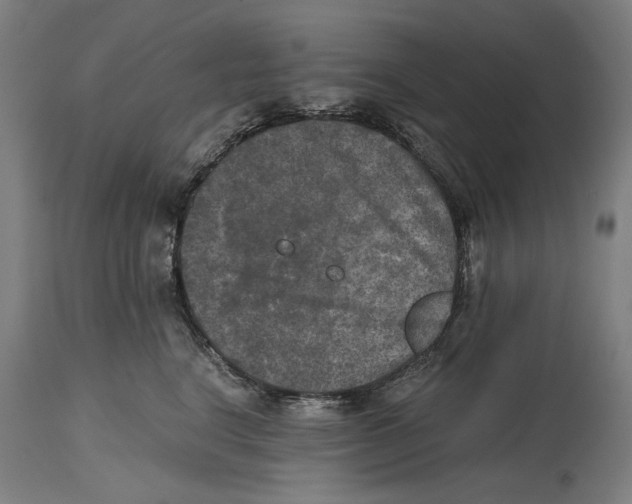 X0000114390664200911131344