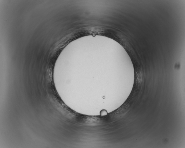 X0000114390666200911131344