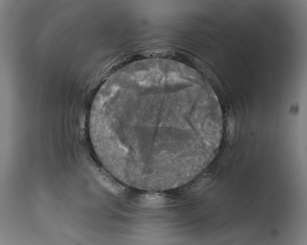 X0000114390668200911131344