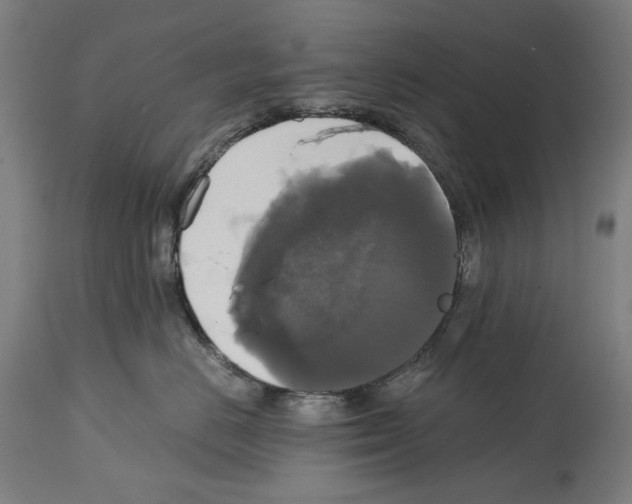 X0000114390670200911131344