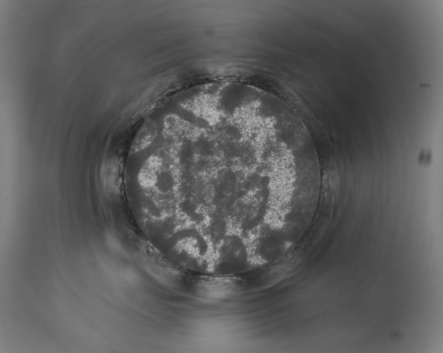 X0000114390671200911131344