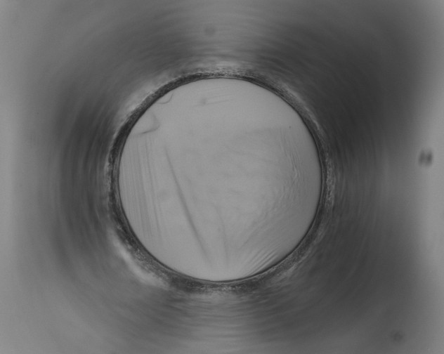 X0000114390674200911131343