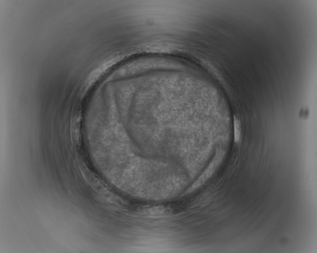 X0000114390675200911131343