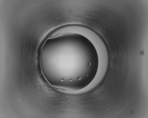 X0000114390676200911131343