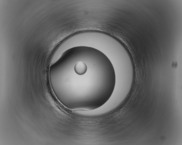 X0000114390677200911131343