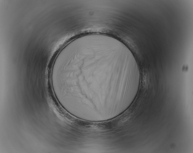 X0000114390678200911131343