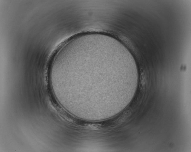 X0000114390680200911131343