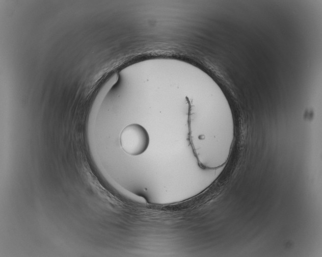 X0000114390681200911131343