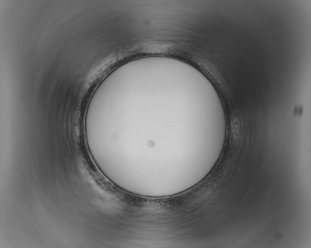 X0000114390682200911131343