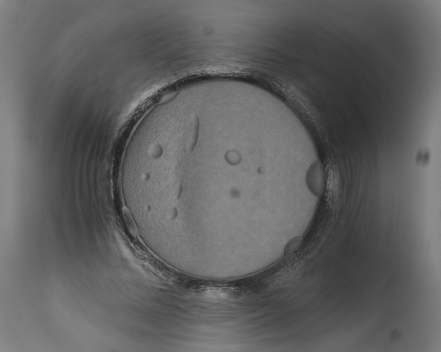 X0000114390684200911131343