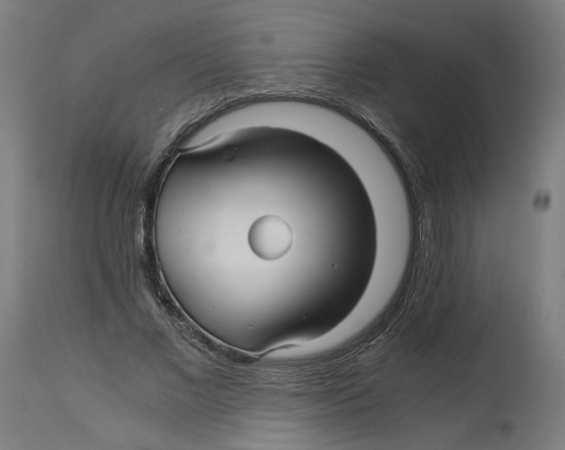 X0000114390685200911131343