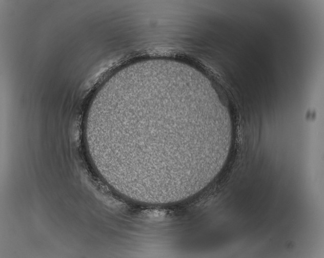 X0000114390687200911131343