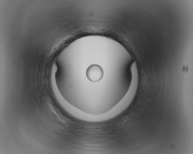 X0000114390688200911131343