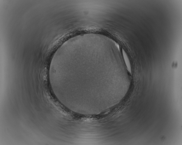 X0000114390689200911131343