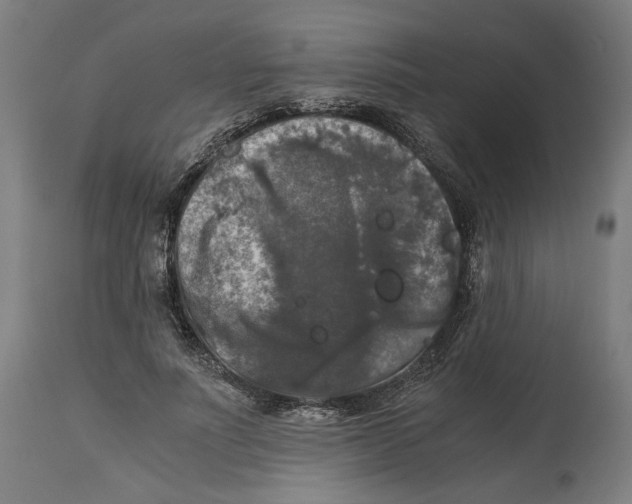 X0000114390691200911131343