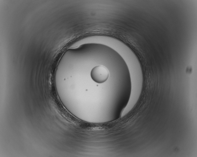 X0000114390692200911131343