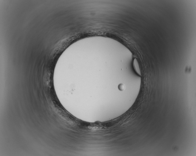 X0000114390693200911131343