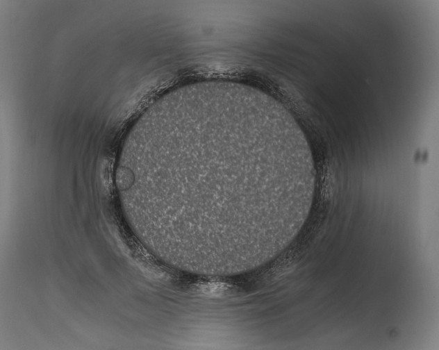 X0000114390695200911131343