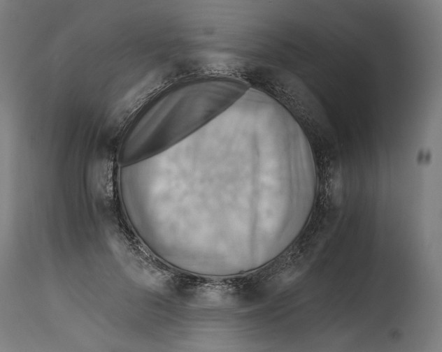 X0000114390696200911131343