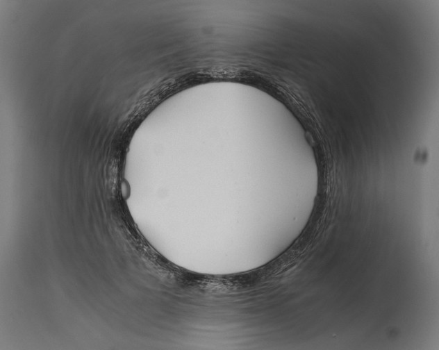 X0000114390697200911131343