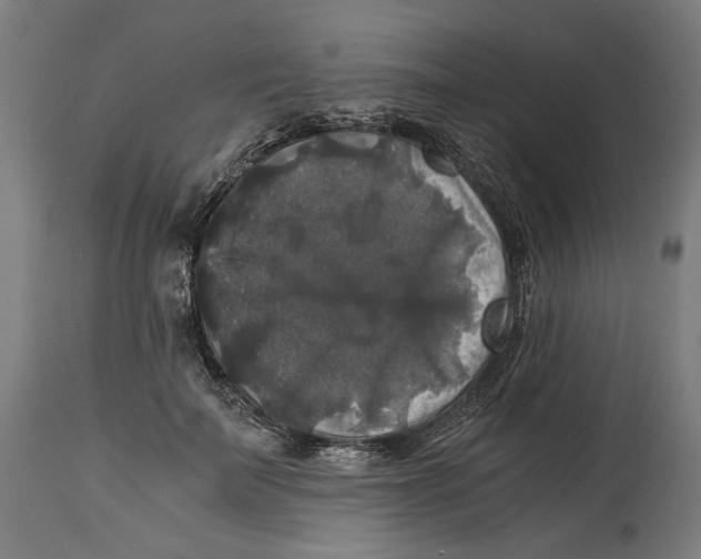 X0000114390699200911131343