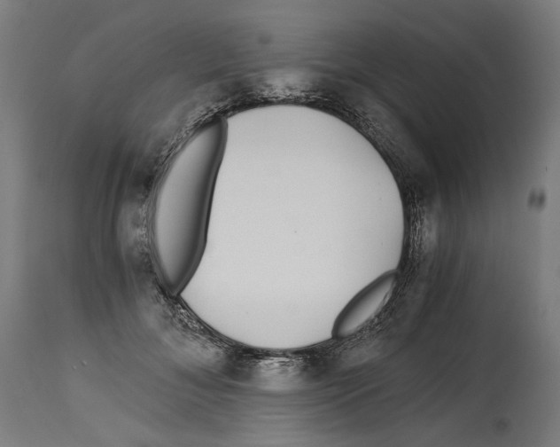 X0000114390700200911131343