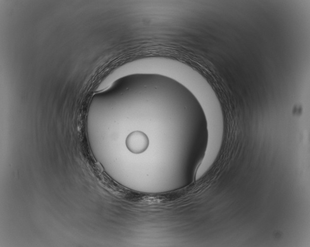 X0000114390701200911131343