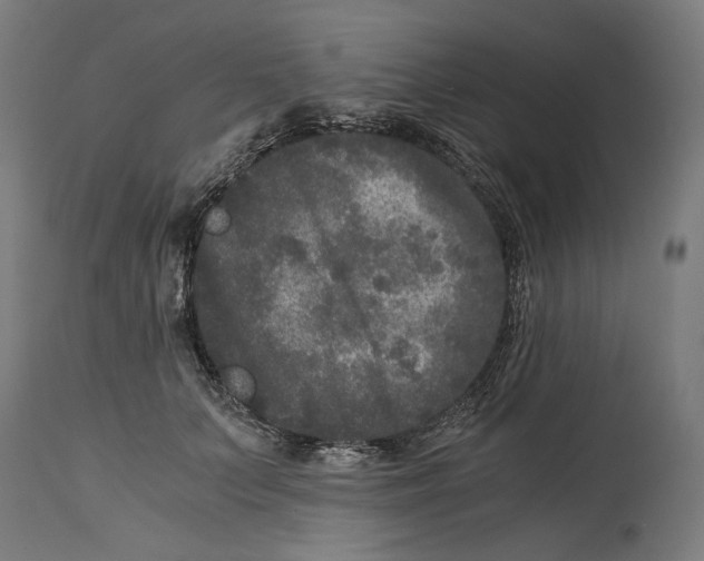 X0000114390703200911131343