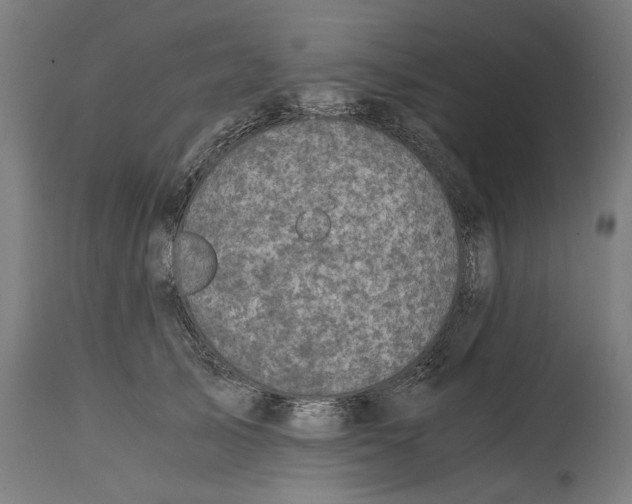 X0000114390705200911131343