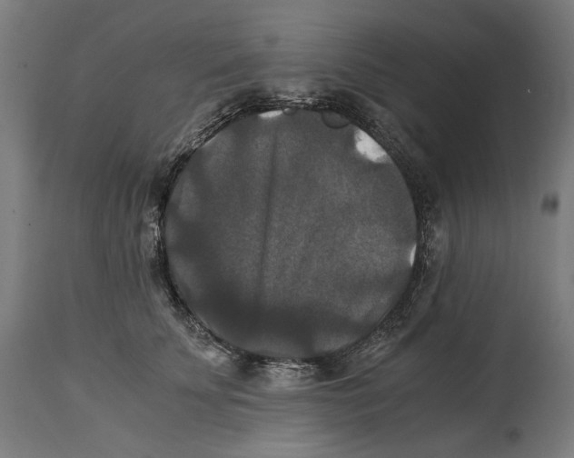 X0000114390707200911131342