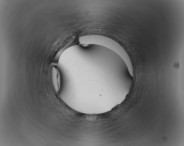 X0000114390709200911131342