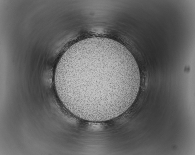 X0000114390710200911131342