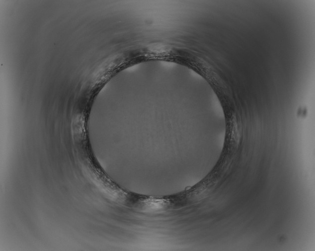 X0000114390711200911131342