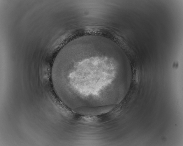 X0000114390712200911131342