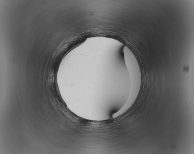 X0000114390713200911131342