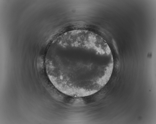 X0000114390715200911131342