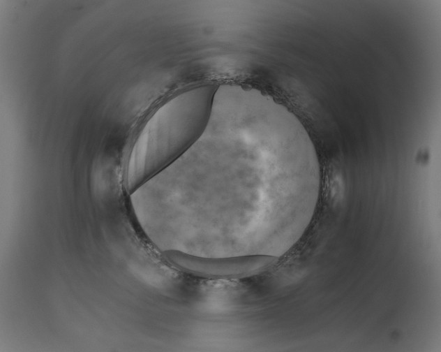 X0000114390716200911131342