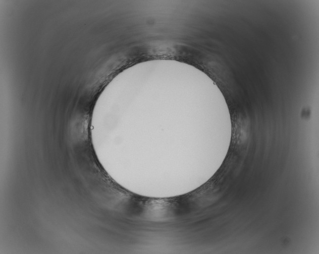 X0000114390717200911131342