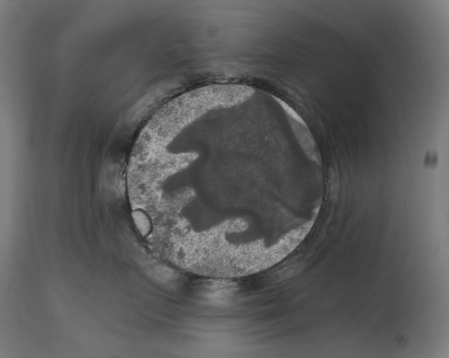 X0000114390719200911131342