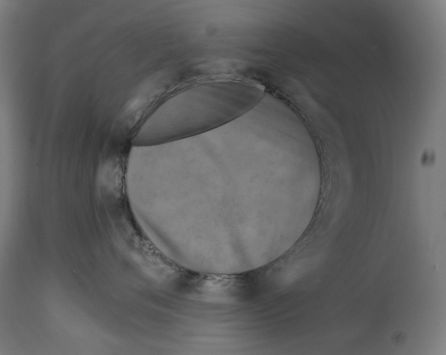 X0000114390720200911131342