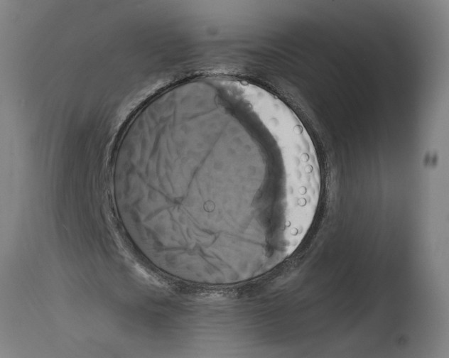 X0000114390721200911131342