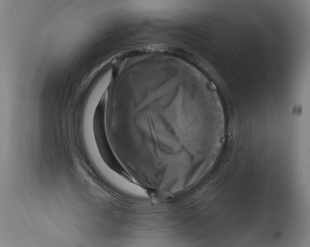 X0000114390722200911131342