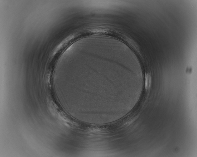 X0000114390723200911131342