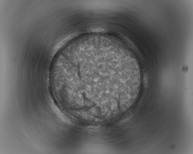 X0000114390725200911131342