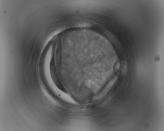 X0000114390726200911131342