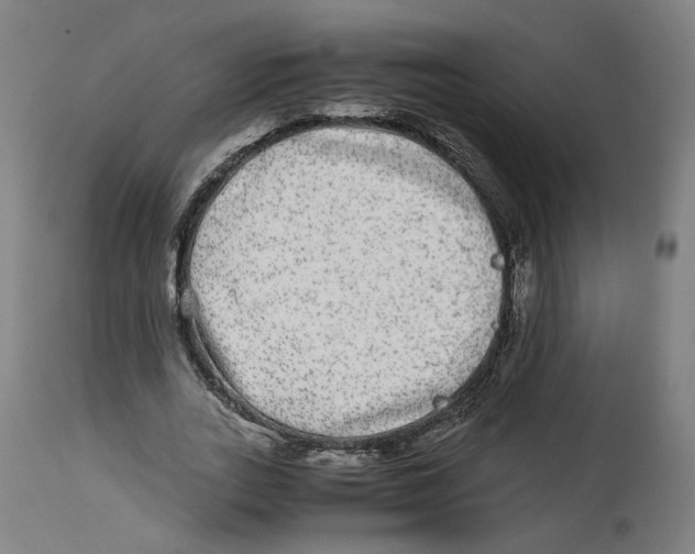 X0000114390727200911131342