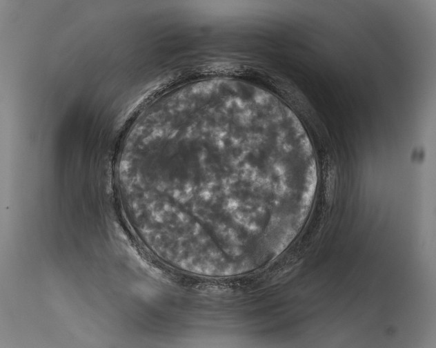 X0000114390729200911131342