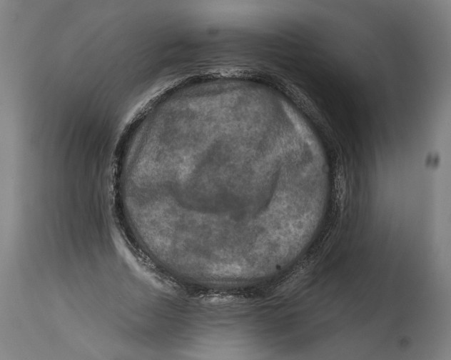 X0000114390730200911131342