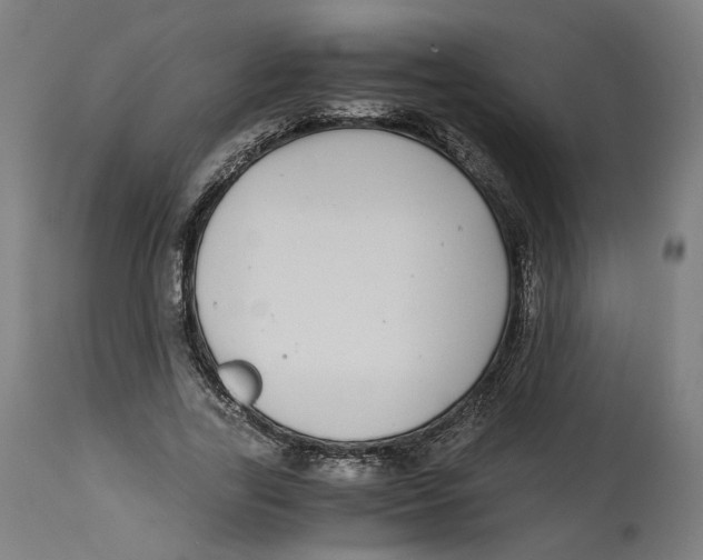 X0000114390731200911131342